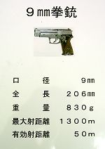 KASUMI2GUN_44S.JPG - 6,977BYTES